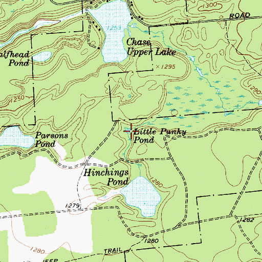 Topographic Map of Little Punky Pond, NY