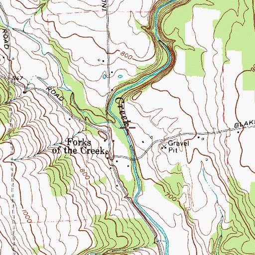 Topographic Map of Little Salmon Creek, NY
