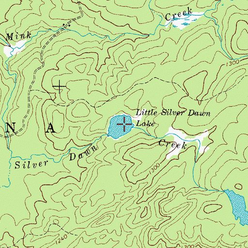 Topographic Map of Little Silver Dawn Lake, NY