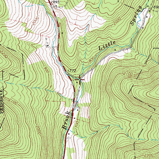 Topographic Map of Little Spring Brook, NY