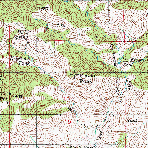 Topographic Map of Placer Peak, AZ