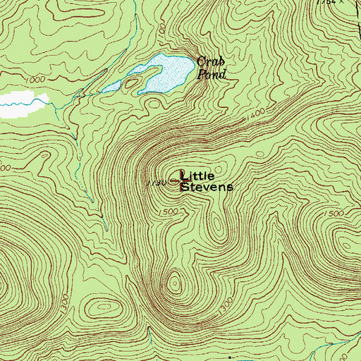 Topographic Map of Little Stevens, NY