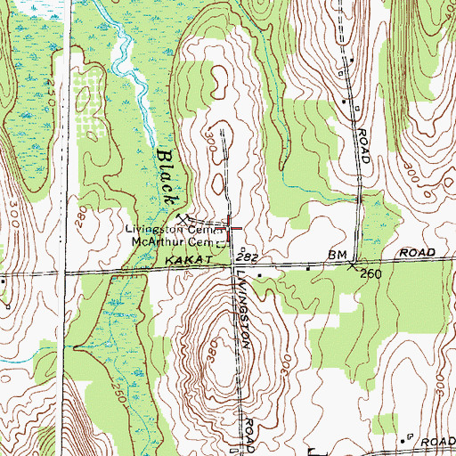 Topographic Map of Livingston Cemetery, NY