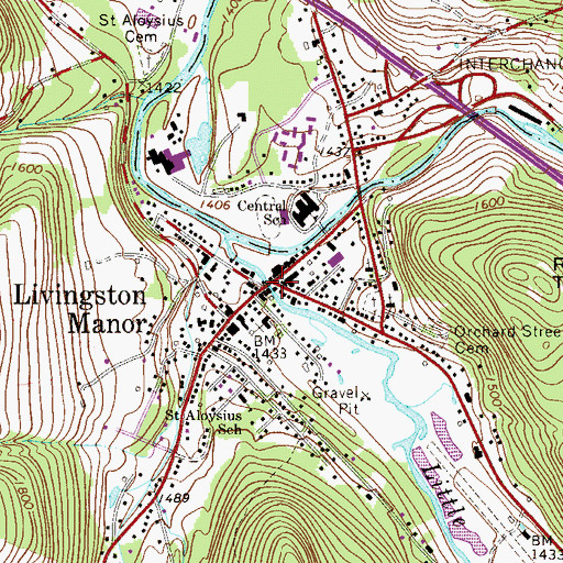 Topographic Map of Livingston Manor, NY