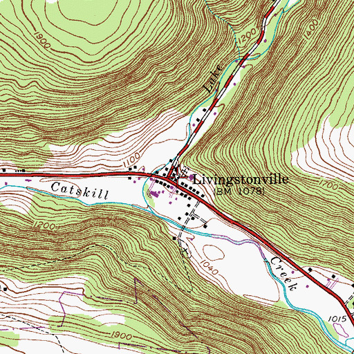Topographic Map of Livingstonville, NY