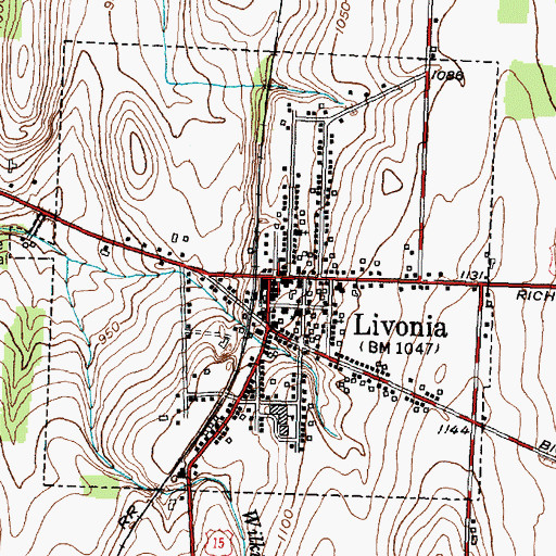 Topographic Map of Livonia, NY