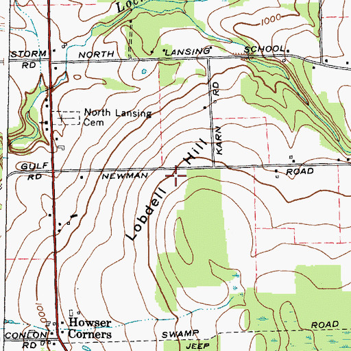 Topographic Map of Lobdell Hill, NY