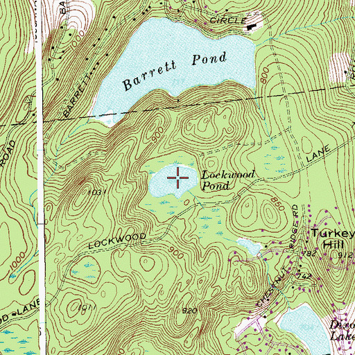 Topographic Map of Lockwood Pond, NY