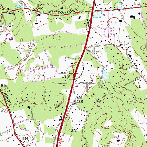 Topographic Map of Locust Cemetery, NY