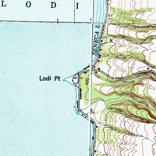 Topographic Map of Lodi Point, NY