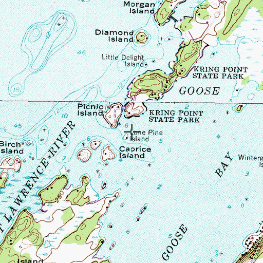 Topographic Map of Lone Pine Island, NY