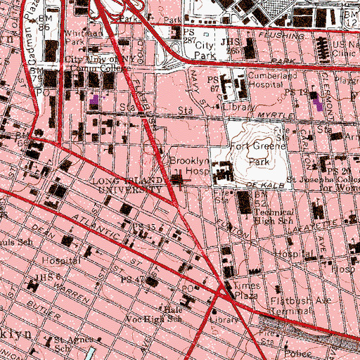 Topographic Map of Long Island University Brooklyn Campus, NY