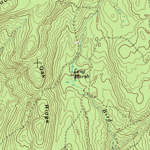 Topographic Map of Long Marsh, NY