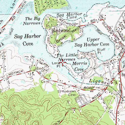 Topographic Map of Long Point, NY