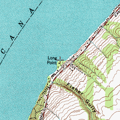 Topographic Map of Long Point, NY