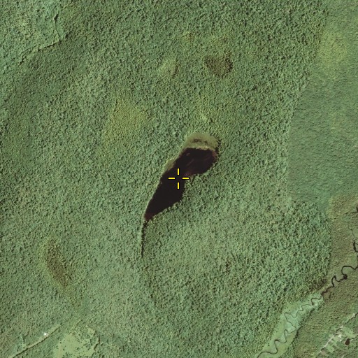 Aerial/Satellite Image of Long Pond, NY