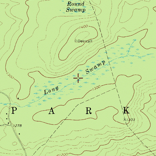 Topographic Map of Long Swamp, NY