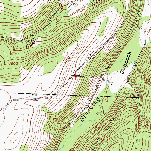 Topographic Map of Look Cemetery, NY