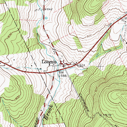 Topographic Map of Loomis, NY