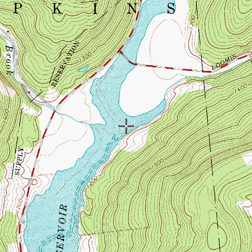 Topographic Map of Loomis Brook, NY