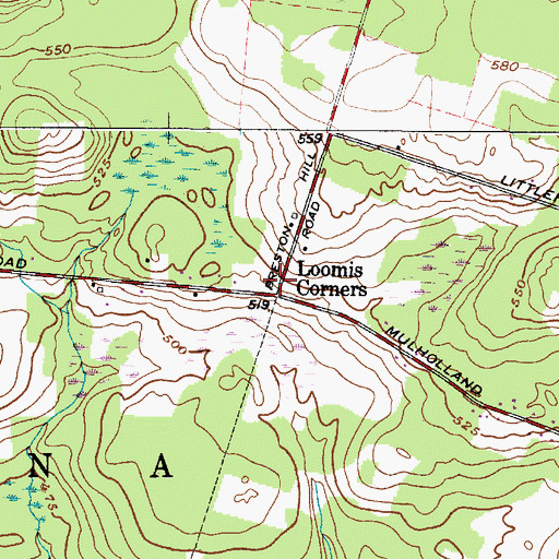 Topographic Map of Loomis Corners, NY