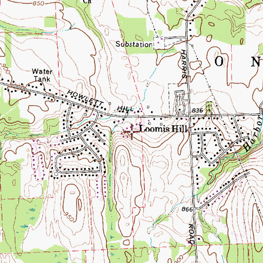 Topographic Map of Loomis Hill, NY