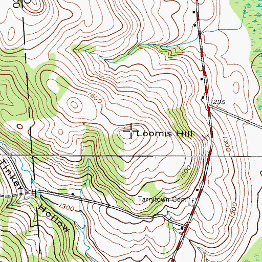 Topographic Map of Loomis Hill, NY