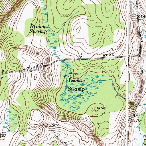Topographic Map of Loomis Swamp, NY