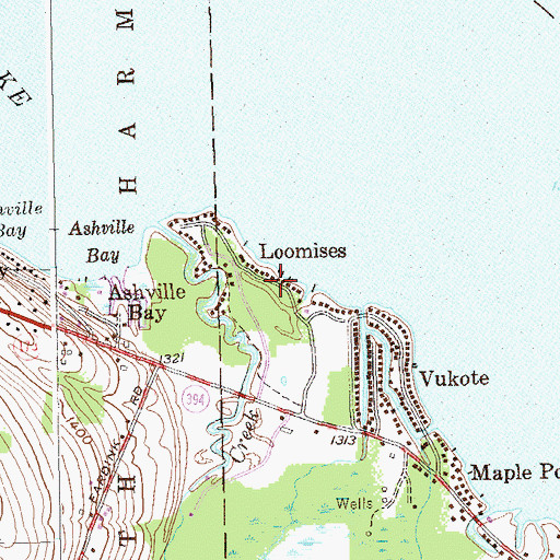 Topographic Map of Loomises, NY