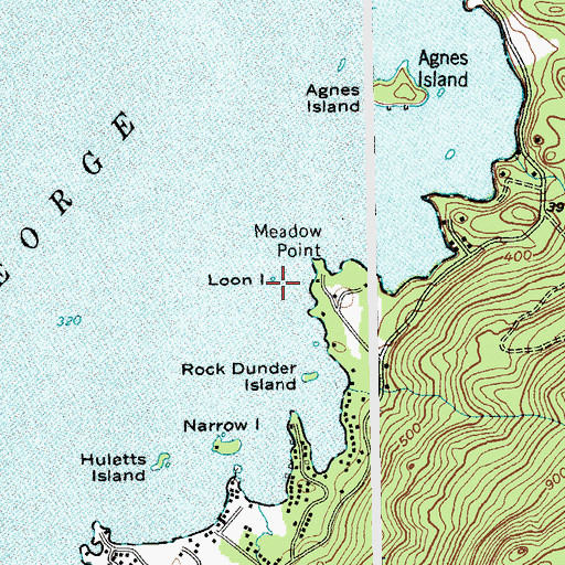 Topographic Map of Loon Island, NY