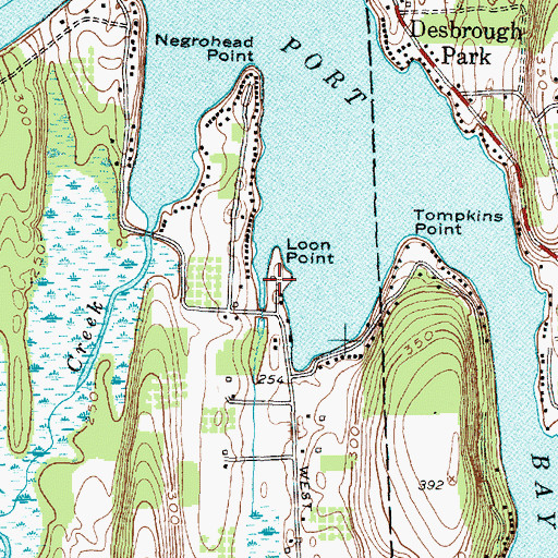 Topographic Map of Loon Point, NY