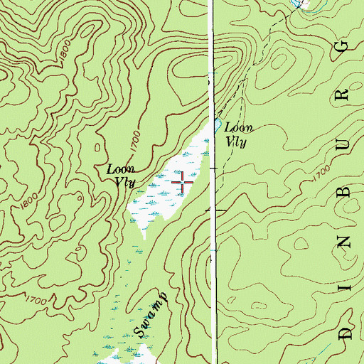 Topographic Map of Loon Vly, NY