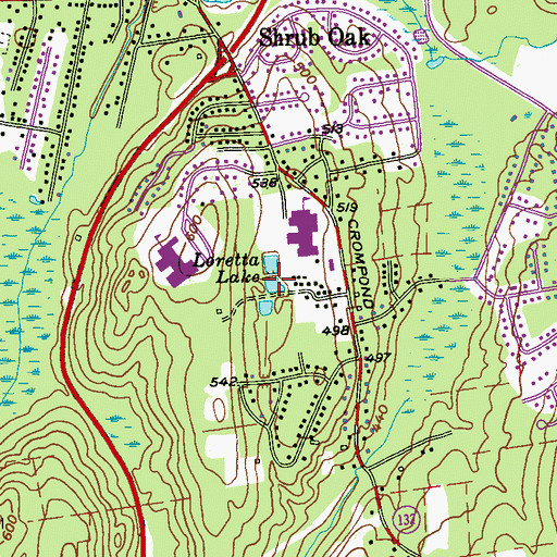 Topographic Map of Loretta Lake, NY