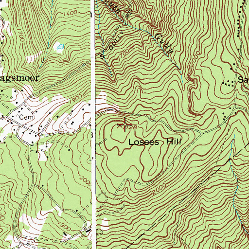Topographic Map of Losees Hill, NY