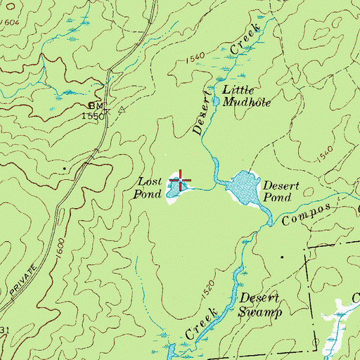Topographic Map of Lost Pond, NY