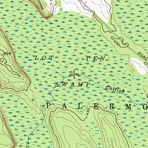 Topographic Map of Lot Ten Swamp, NY
