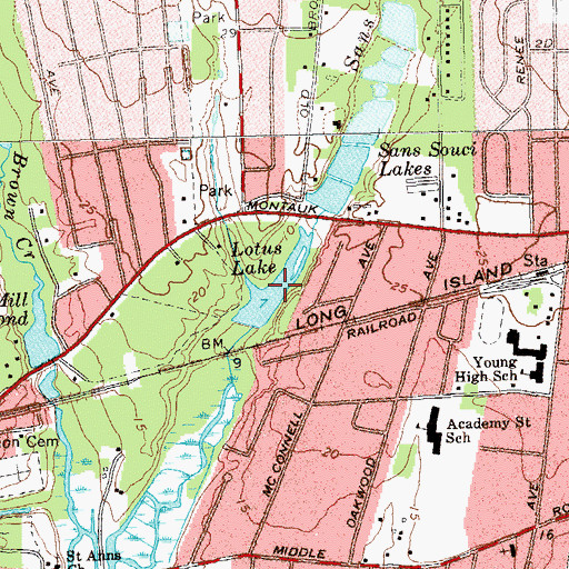 Topographic Map of Lotus Lake, NY