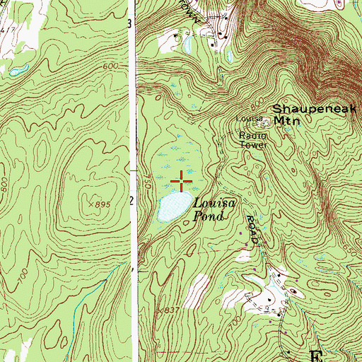 Topographic Map of Louisa Pond, NY