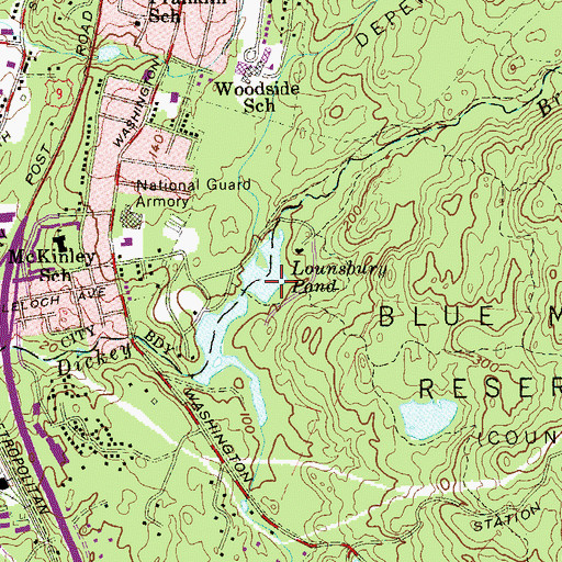 Topographic Map of Lounsbury Pond, NY