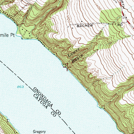 Topographic Map of Lower Basin, NY