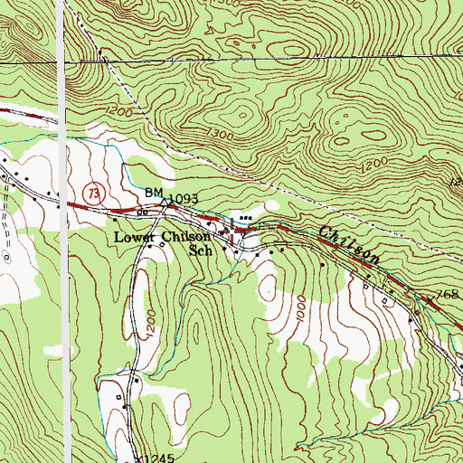 Topographic Map of Lower Chilson School, NY
