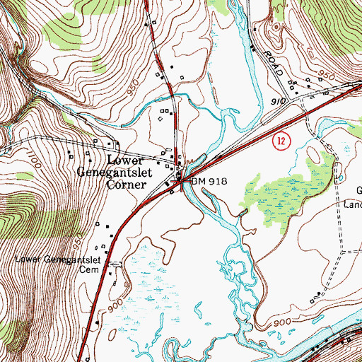 Topographic Map of Lower Genegantslet Corner, NY