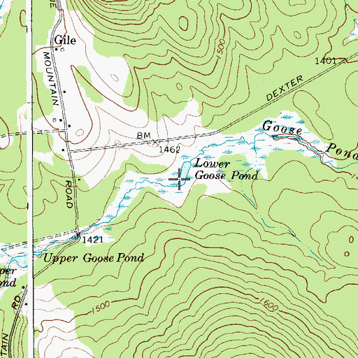 Topographic Map of Lower Goose Pond, NY