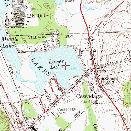 Topographic Map of Lower Lake, NY