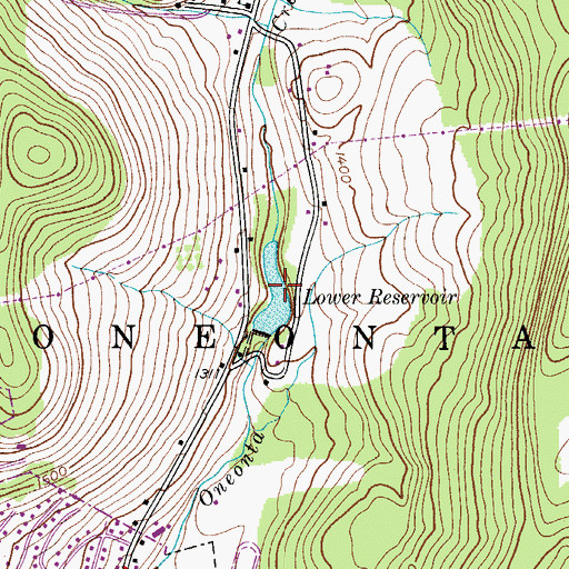 Topographic Map of Lower Reservoir, NY