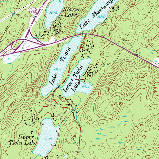 Topographic Map of Lower Twin Lake, NY