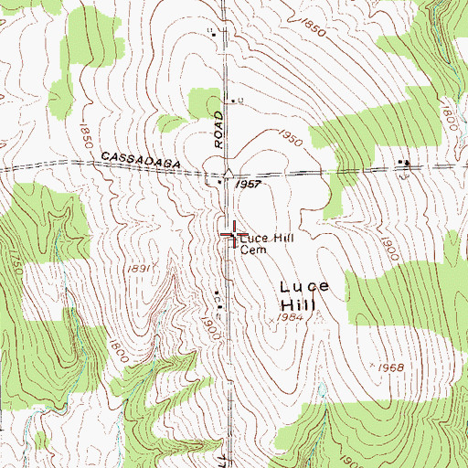 Topographic Map of Luce Hill Cemetery, NY