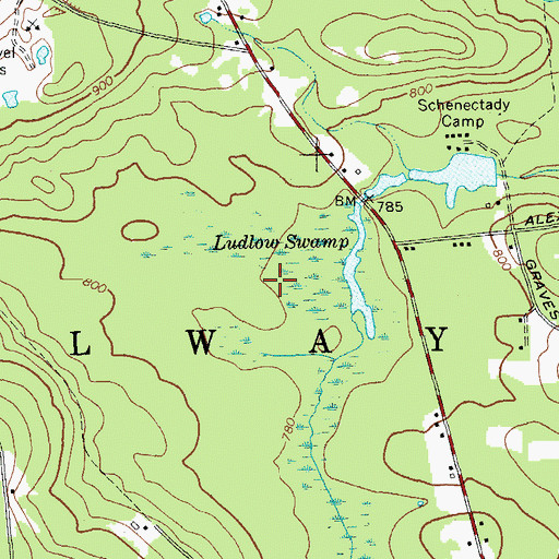 Topographic Map of Ludlow Swamp, NY