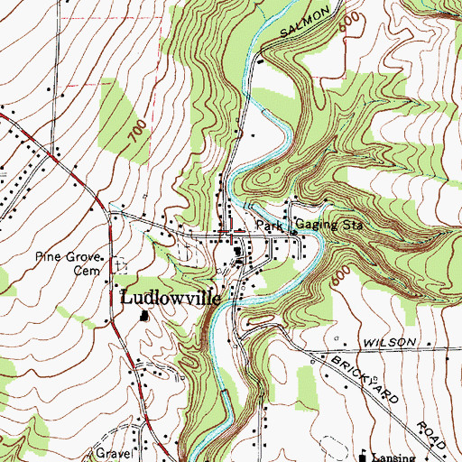 Topographic Map of Ludlowville, NY