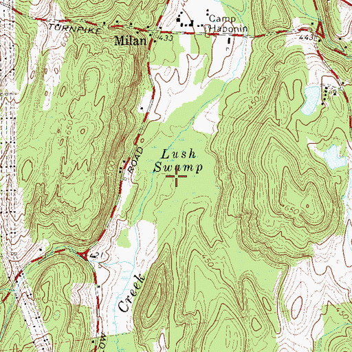 Topographic Map of Lush Swamp, NY